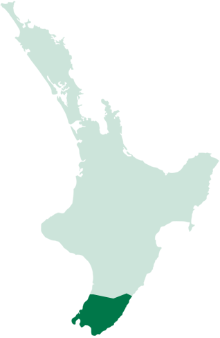 Wellington map banner